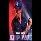 Ayıp Yani