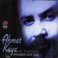 İyimser Bir Gül İyimser Bir Gül