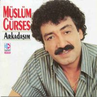 Arkadaşım Arkadaşım
