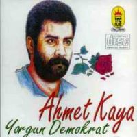 Yorgun Demokrat Yorgun Demokrat