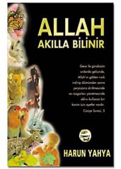 Allah Akılla Bilinir Allah Akılla Bilinir