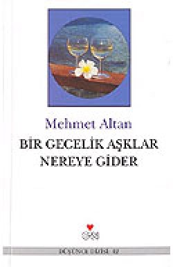 Bir Gecelik Aşklar Nereye Gider Bir Gecelik Aşklar Nereye Gider