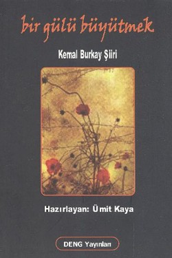 Bir Gülü Büyütmek Bir Gülü Büyütmek