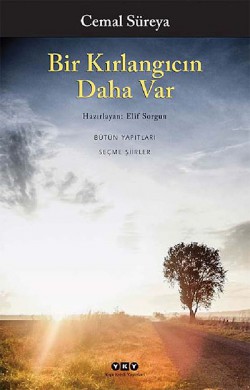 Bir Kırlangıcın Daha Var Bir Kırlangıcın Daha Var
