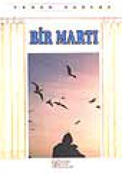 Bir Martı Bir Martı