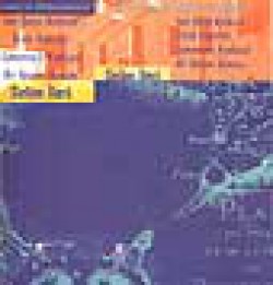 Bodrum Dörtlemesi (4 kitap özel kutuda)