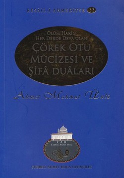 Çörek Otu Mucizesi ve Şifa Duaları / Resail-i Ahmediyye 33 Çörek Otu Mucizesi ve Şifa Duaları / Resail-i Ahme