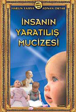 İnsanın Yaratılış Mucizesi İnsanın Yaratılış Mucizesi