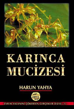 Karınca Mucizesi Karınca Mucizesi