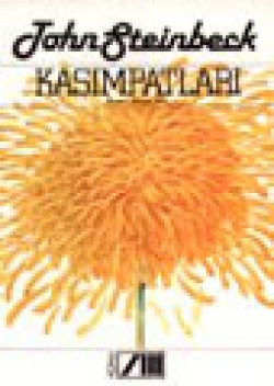 Kasımpatları Kasımpatları