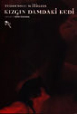 Kızgın Damdaki Kedi Kızgın Damdaki Kedi