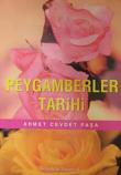 Peygamberler Tarihi (Dergi Boy)