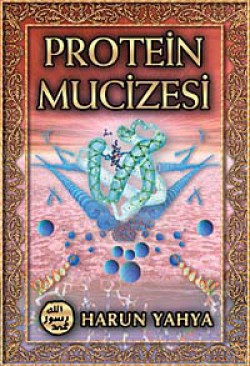 Protein Mucizesi Protein Mucizesi