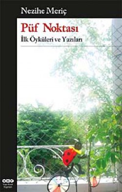 Püf Noktası İlk Öyküleri ve Yazıları Püf Noktası İlk Öyküleri ve Yazıları