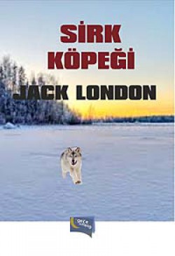 Sirk Köpeği Sirk Köpeği