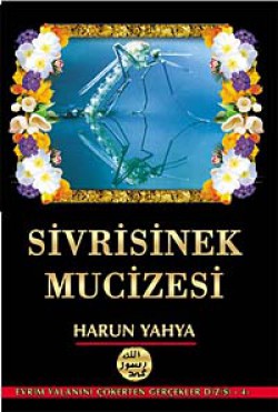 Sivrisinek Mucizesi Sivrisinek Mucizesi