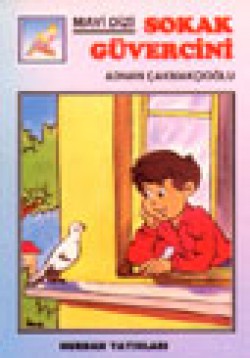 Sokak Güvercini Sokak Güvercini