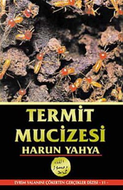 Termit Mucizesi Termit Mucizesi