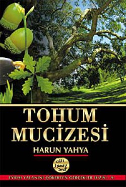 Tohum Mucizesi Tohum Mucizesi