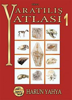 Yaratılış Atlası Cilt:1 Yaratılış Atlası Cilt:1