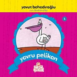 Yavru Pelikan Yavru Pelikan