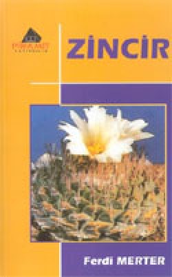 Zincir Zincir
