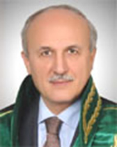 Ali Alkan kimdir? Ali Alkan
