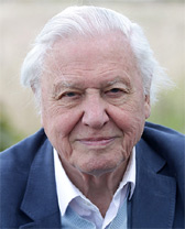 David Attenborough kimdir? David Attenborough