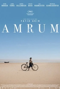 Amrum