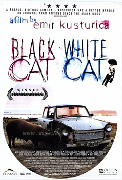 Black Cat, White Cat Black Cat, White Cat