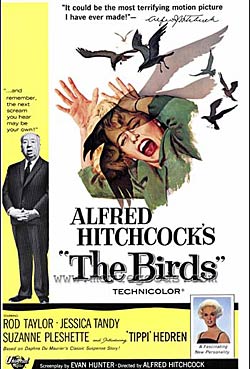 The Birds The Birds