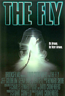 The Fly The Fly