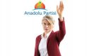 Anadolu Partisi Anadolu Partisi